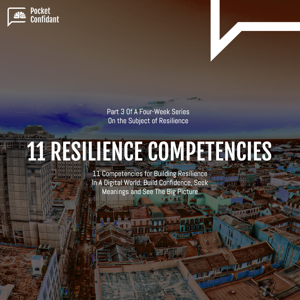 11 Competencies for Building Resilience In A Digital World - Part 3: Build Confidence, Seek Meanings and See The Big Picture