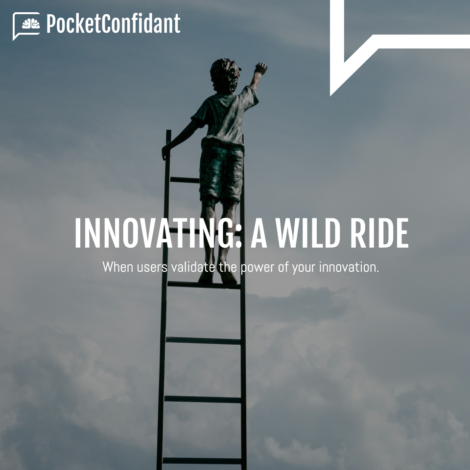 Innovating: A Wild Ride